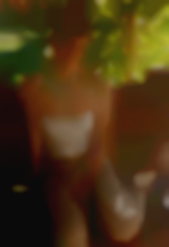 Tucson, singles swingers